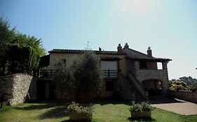Agriturismo Oliveto Di Geltrude Contessa